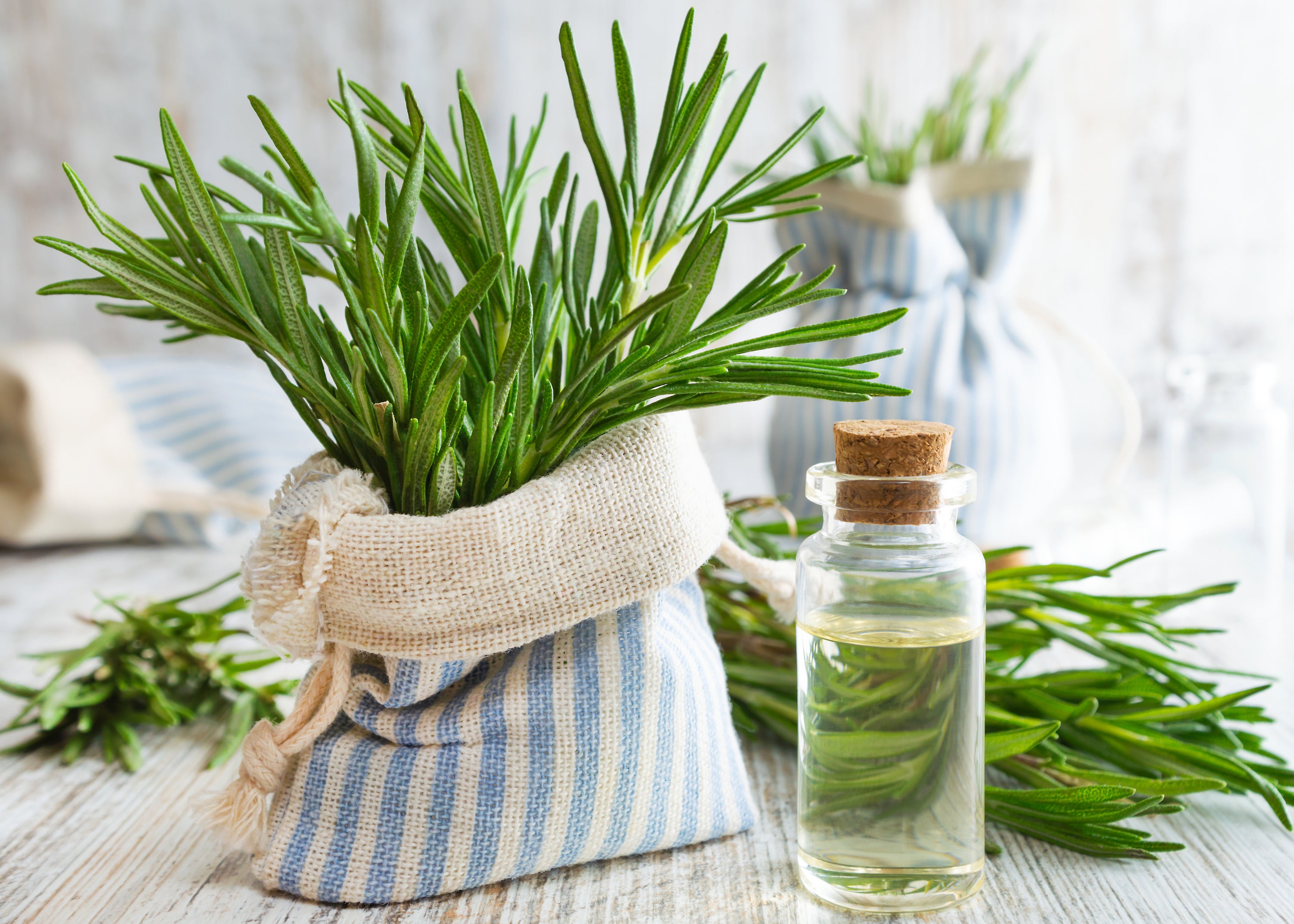 Die vielseitigen Wirkungen von Rosmarin in der Naturkosmetik