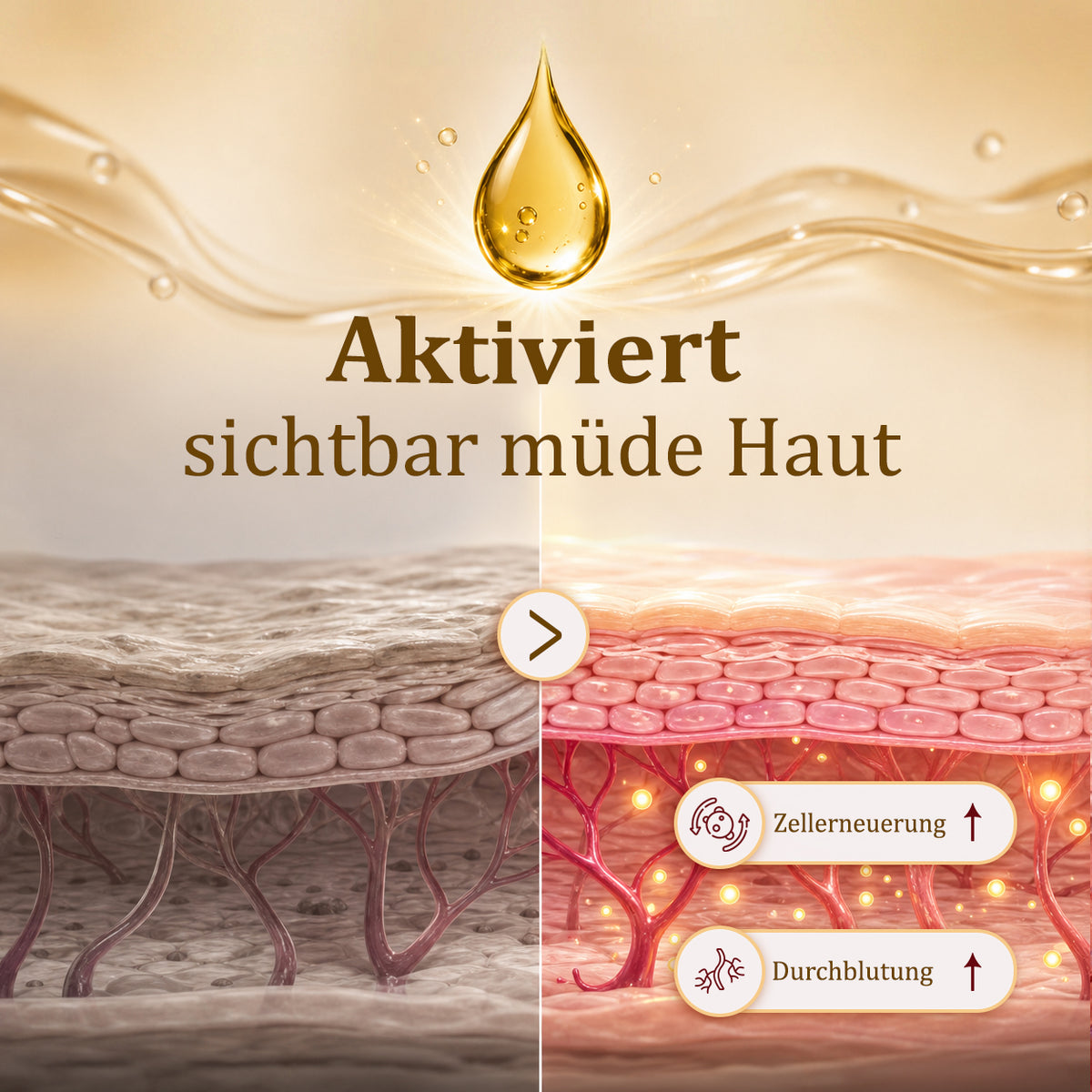 Aktivierungsöl ANISSA Naturkosmetik Produkteigenschaften
