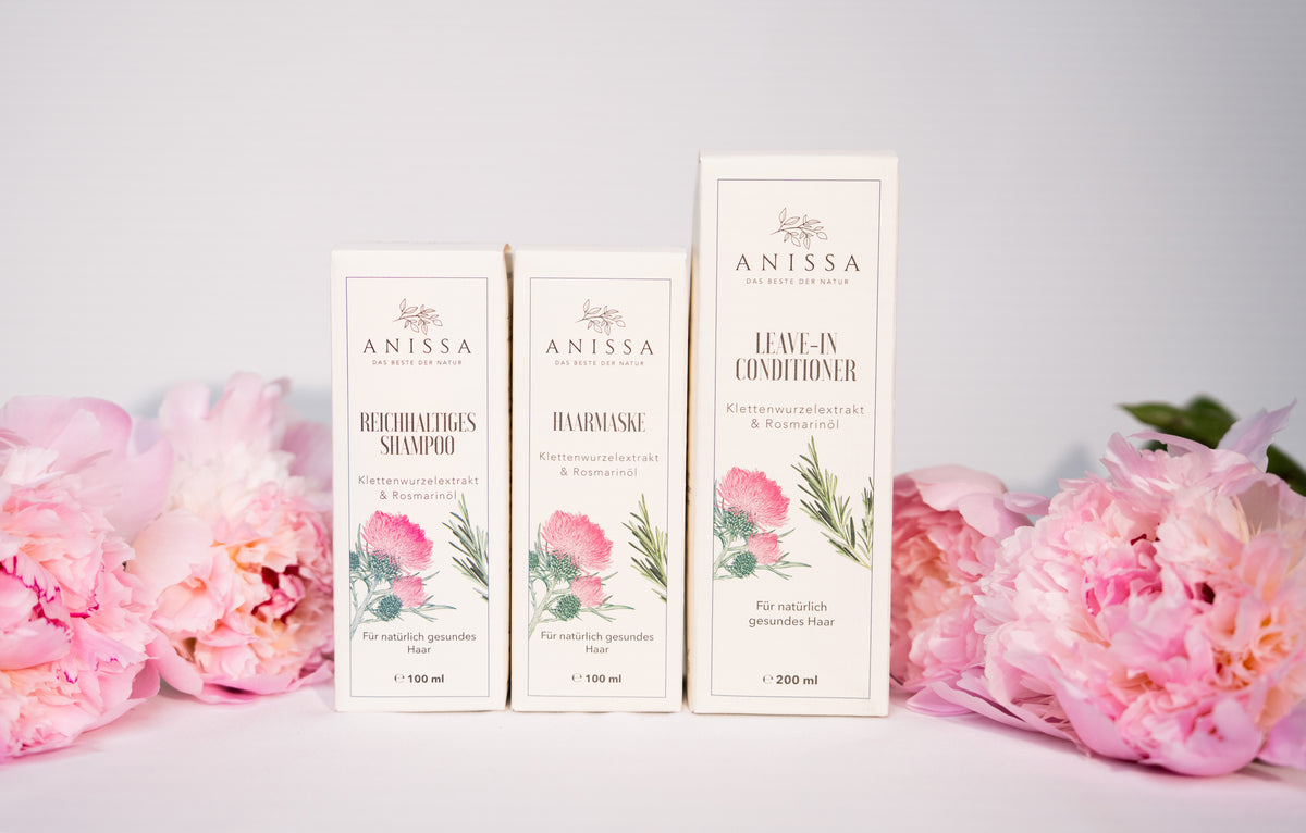 ANISSA Haar Aufbaukur Set klein Produktbild