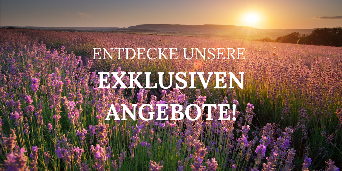 Bannerbild ANISSA Naturkosmetik After Summer Sale