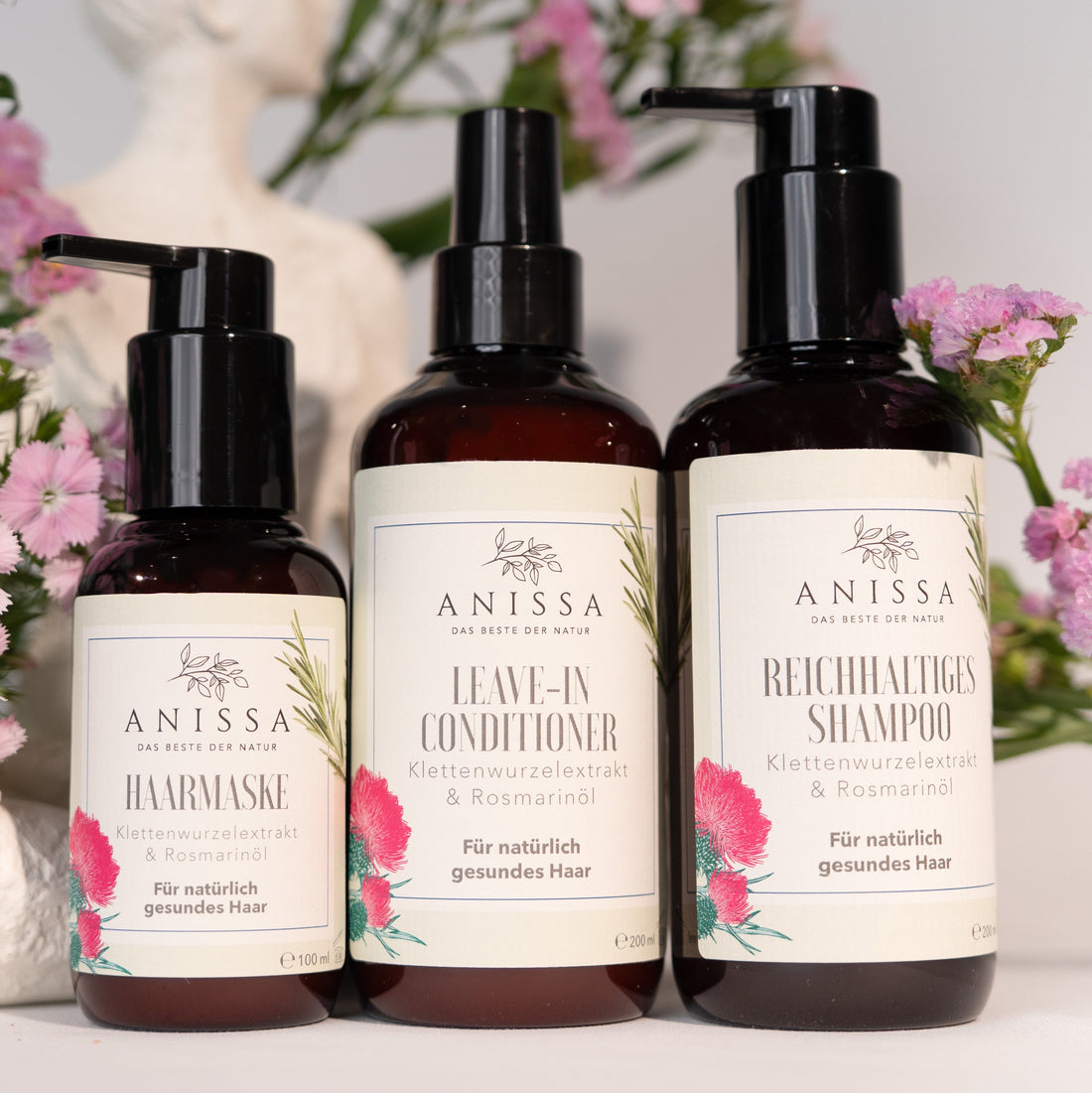 Haar-Aufbaukur Set