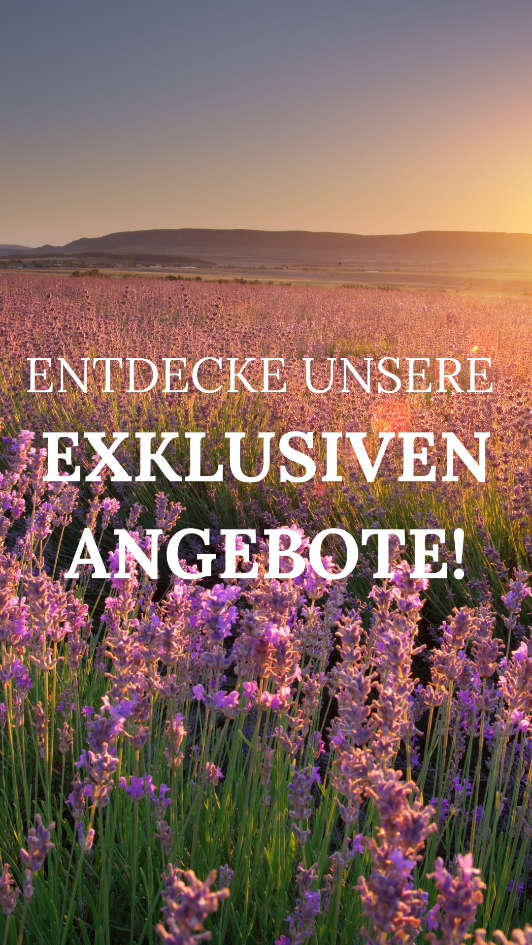 Bannerbild ANISSA Naturkosmetik After Summer Sale