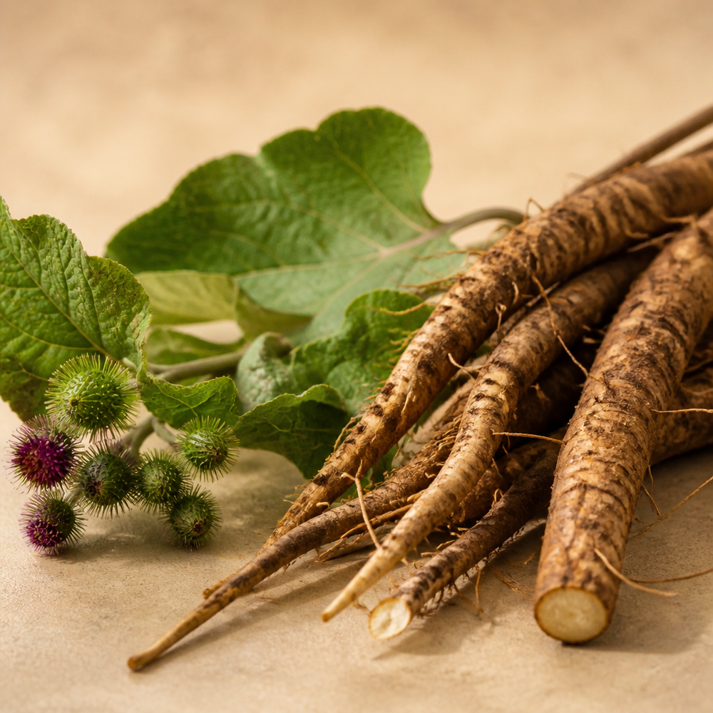 SS - Product ingredien KI Modal image 6