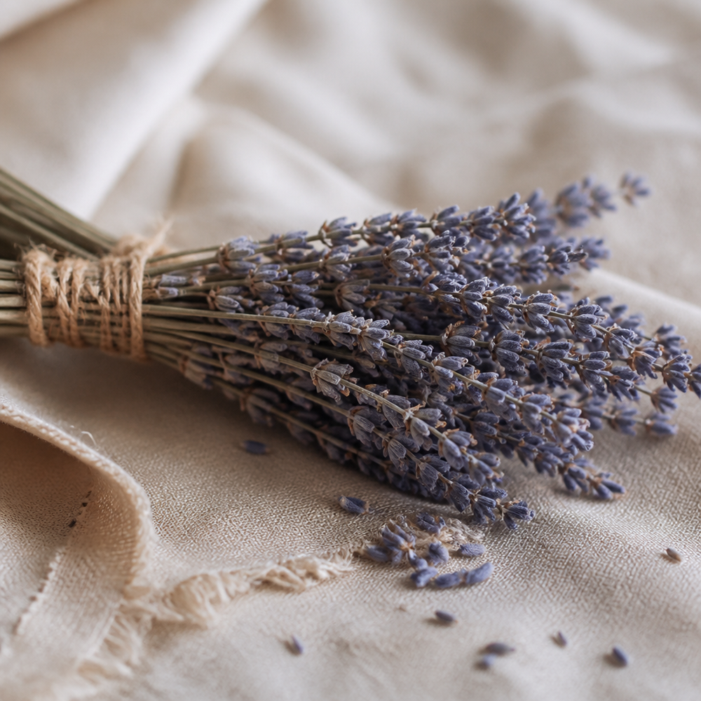 SS - Product ingredien KI Image 13